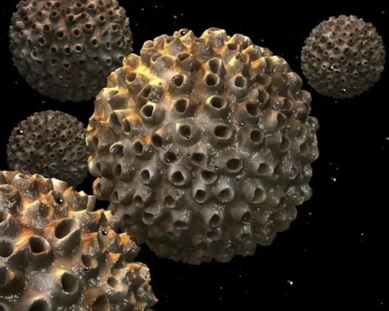 Virus del papilloma